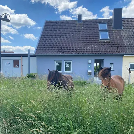 Flammerie - Hoferstrasse 30c アパート Gangelt