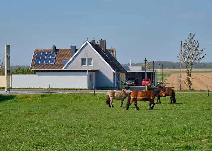 Flammerie - Hoferstrasse 30c * 갠젤트