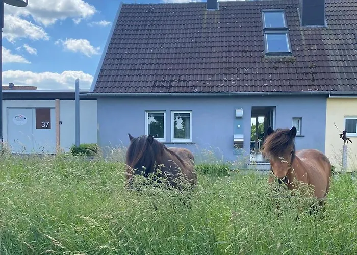 Flammerie - Hoferstrasse 30c 아파트 갠젤트