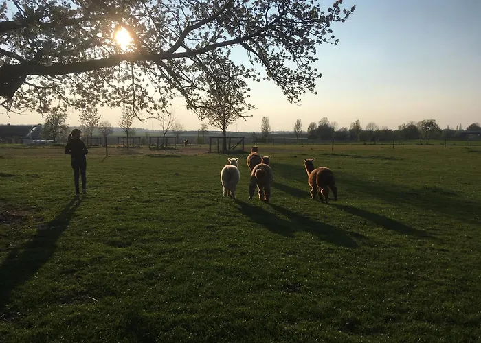 Flammerie - Hoferstrasse 30c